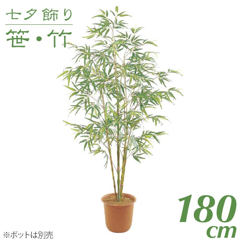 公式 楽天市場 七夕飾り 笹 竹 造花 大型 バンブーツリー S 180cm インテリア 観葉植物 人工 光触媒 Sc Ct 触媒 七夕 保育園 小学校 施設 店舗 G L フェイクグリーンの神戸花物語 期間限定送料無料 Lexusoman Com