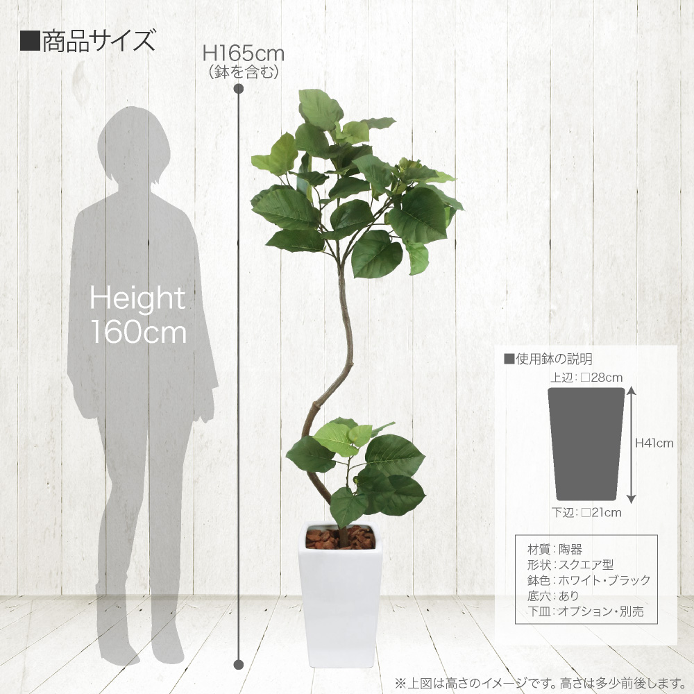 人工観葉植物 フェイクグリーン 観葉植物 造花 光触媒 大型 フィカス ウンベラータ スパイラル 165cm 鉢植 フェイク グリーン インテリア おしゃれ Ct触媒 お祝い P44 Painfreepainrelief Com