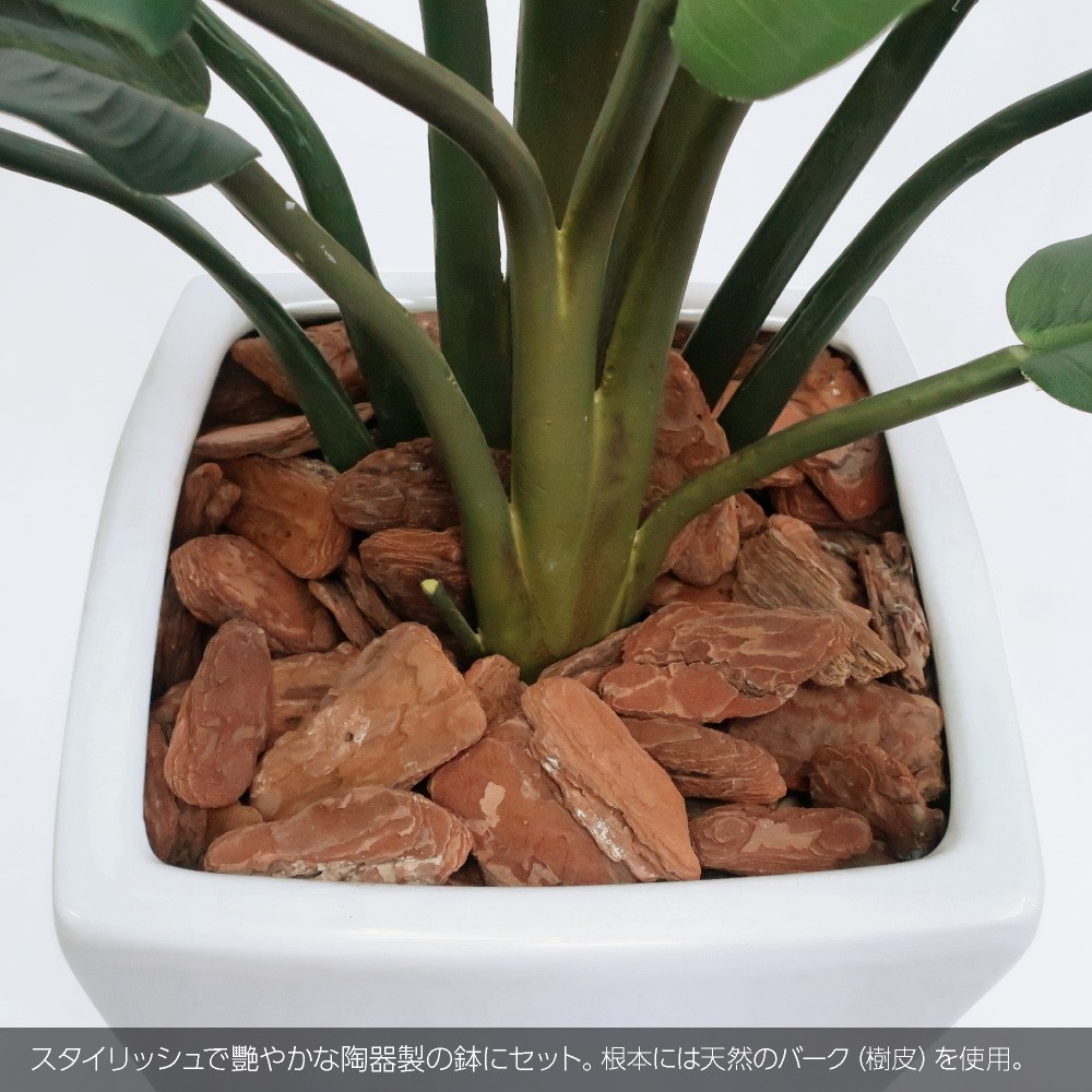 インテリア 開店 人工観葉植物 お祝い トラベラーズパームポット Ct触媒 おしゃれ おしゃれ 扇芭蕉 お祝い フェイクグリーンの神戸花物語新発売 グリーン 光触媒 Ct触媒 タビビトノキ グリーン 150cm 150cm 造花 光触媒 観葉植物 鉢植 インテリア フェイクグリーン インテリア 開店 人工観葉植物 お祝い トラベラーズパームポット Ct触媒 おしゃれ おしゃれ 扇芭蕉 お祝い フェイクグリーンの神戸花物語新発売 グリーン 光触媒 Ct触媒 タビビトノキ グリーン 150cm 150cm 造花 光触媒 観葉植物 鉢植 インテリア フェイクグリーン