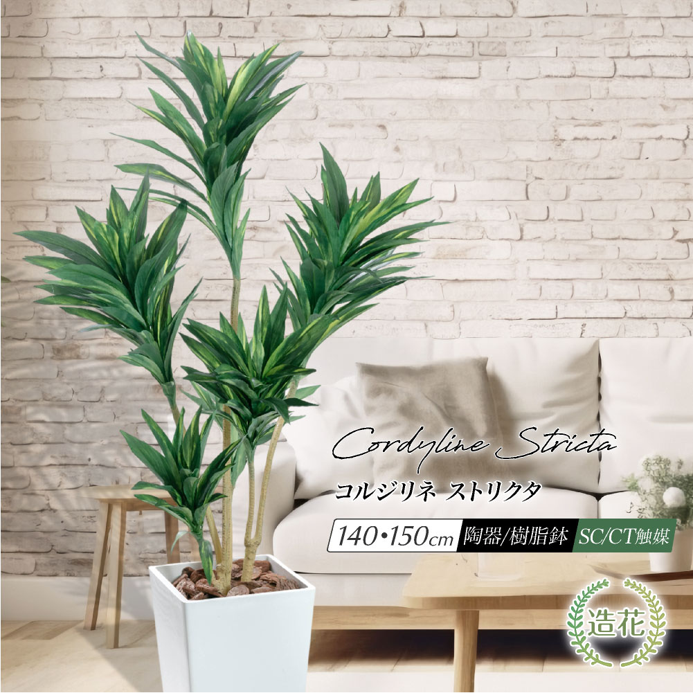 【お買い物マラソン限定 10%OFFセール】フェイクグリーン リアル 人工観葉植物 大型 光触媒 CT触媒 消臭 鉢植 陶器 樹脂 本物そっくり 造花 ユッカ ドラセナ コンパクター オフィス インテリア コルディリネ おしゃれ [nnf] [rcp] / コルジリネ ストリクタ 140cm 150cm｜フェイクグリーンの神戸花物語
