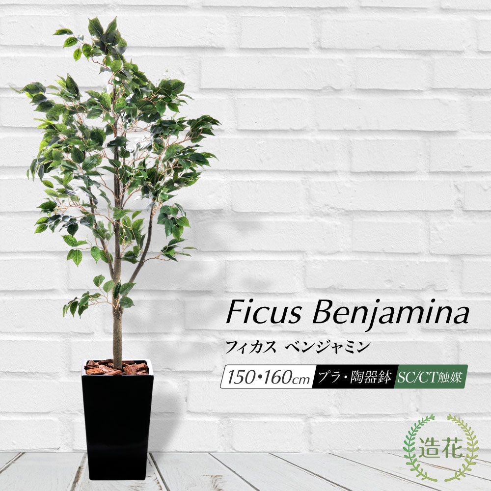 光触媒　人工観葉植物　ウォールグリーン　フィッカスパーテーション150 光触媒人工観葉植物ウォールグリーンフィッカスパーテーション150