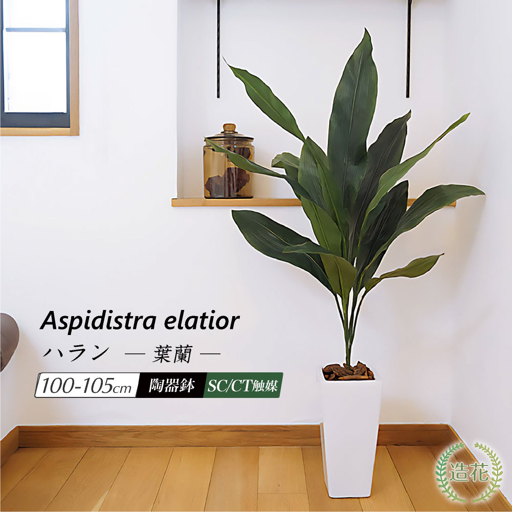 楽天市場】フェイクグリーン 観葉植物 フェイク 人工観葉植物 楽天市場】フェイクグリーン 観葉植物 フェイク 人工観葉植物