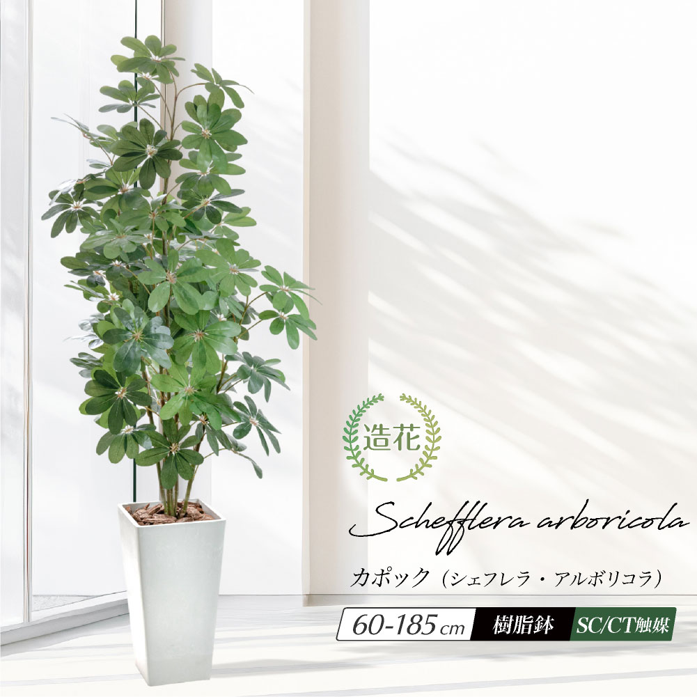 楽天市場】フェイクグリーン 観葉植物 フェイク 人工観葉植物