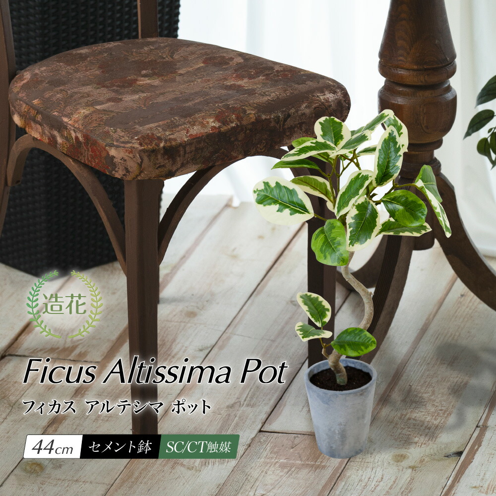 楽天市場】人工観葉植物 ツイストアルテシマ 120cm（インテリア