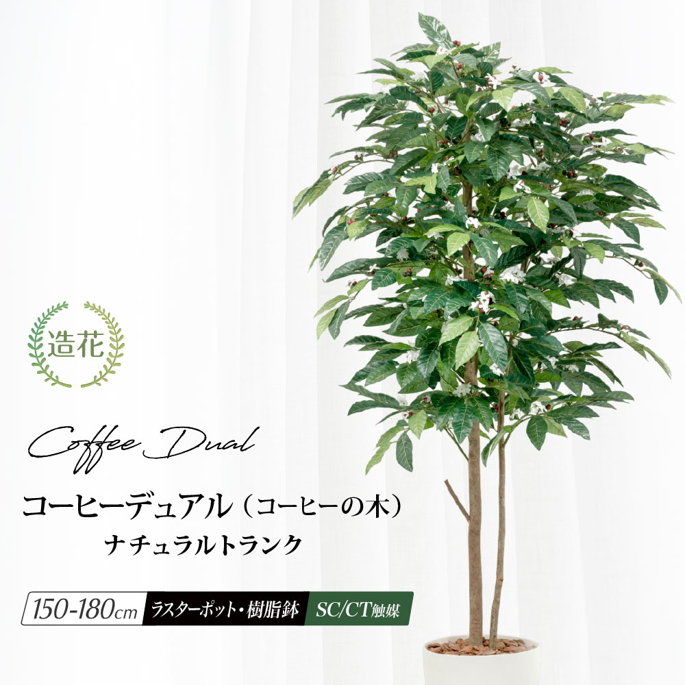 楽天市場】花材 コーヒー スプレー 60cm コーヒーの木 人工観葉植物