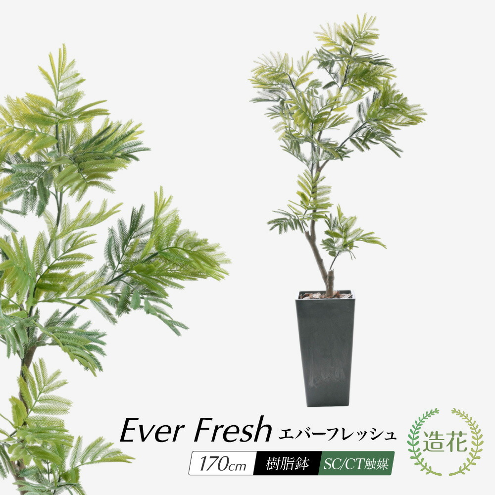 楽天市場】エバーフレッシュ 160cm (造花 観葉植物 インテリア