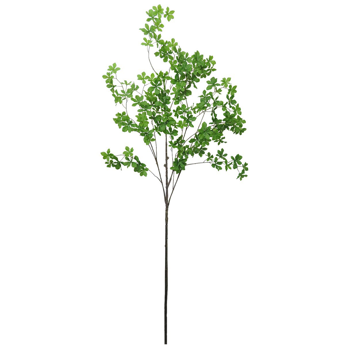 人工観葉植物 フェイクグリーン 観葉植物 造花 Fian 花 観葉植物 ドウダンツツジブランチ グリーン フェイクグリーン 192cm インテリア フェイク おしゃれ フェイク グリーン Ct触媒 消臭 フェイクグリーンの神戸花物語人工観葉植物 フェイクグリーン 観葉植物 造花 人工観葉植物 フェイクグリーン 観葉植物 造花 Fian 花 観葉植物 ドウダンツツジブランチ グリーン フェイクグリーン 192cm インテリア フェイク おしゃれ フェイク グリーン Ct触媒 消臭 フェイクグリーンの神戸花物語人工観葉植物 フェイクグリーン 観葉植物 造花