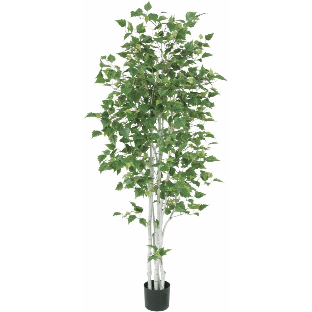 人工観葉植物 大型 シラカバ 180cm 白樺 樹木 観葉植物 造花 フェイクグリーン 光触媒 CT触媒 インテリア|フェイクグリーンの神戸花物語