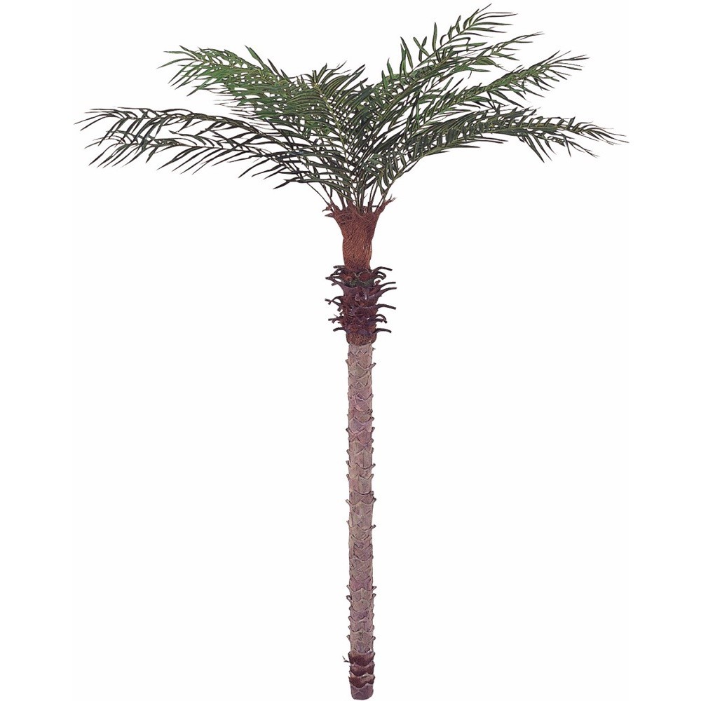 大型 フェイクグリーン 樹木 フェニックスパーム 人工観葉植物 観葉植物 樹木 Ct触媒 光触媒 Ct触媒 光触媒 造花 フェイクグリーンの神戸花物語オフィス 210cm インテリア 消臭 抗菌 おすすめ おしゃれ 癒しのグリーンでいつでも空気すっきり 大型 フェイクグリーン 樹木 フェニックスパーム 人工観葉植物 観葉植物 樹木 Ct触媒 光触媒 Ct触媒 光触媒 造花 フェイクグリーンの神戸花物語オフィス 210cm インテリア 消臭 抗菌 おすすめ おしゃれ 癒しのグリーンでいつでも空気すっきり
