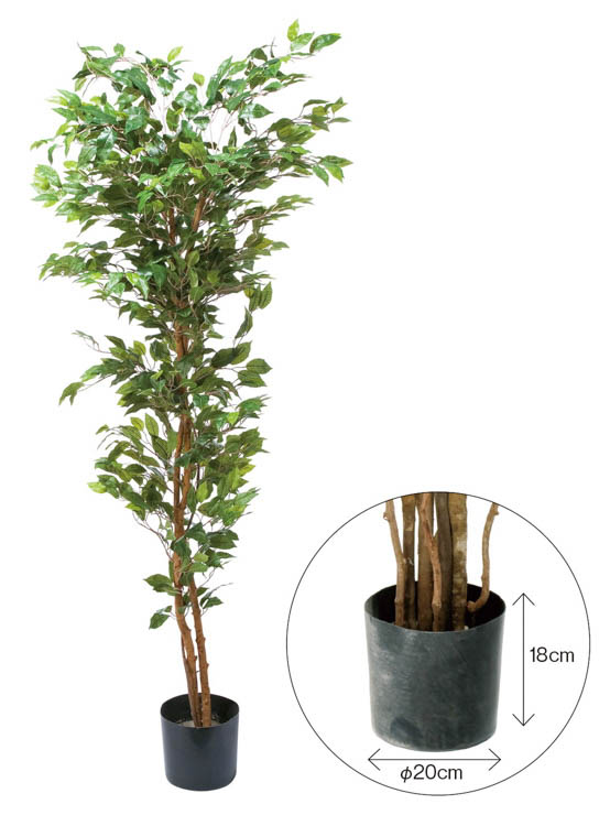 造花 花材 フェイクグリーン 人工観葉植物 ベンジャミンフィカス1.8M 撮影 小道具 小物 撮影用｜フェイクグリーンの神戸花物語