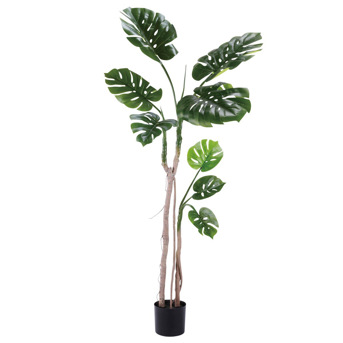 フェイクグリーン 人工観葉植物 造花 大型 モンステラ 小 170cm スプリットフィロ インテリア おしゃれ CT触媒 消臭 抗菌 お祝い｜フェイクグリーンの神戸花物語