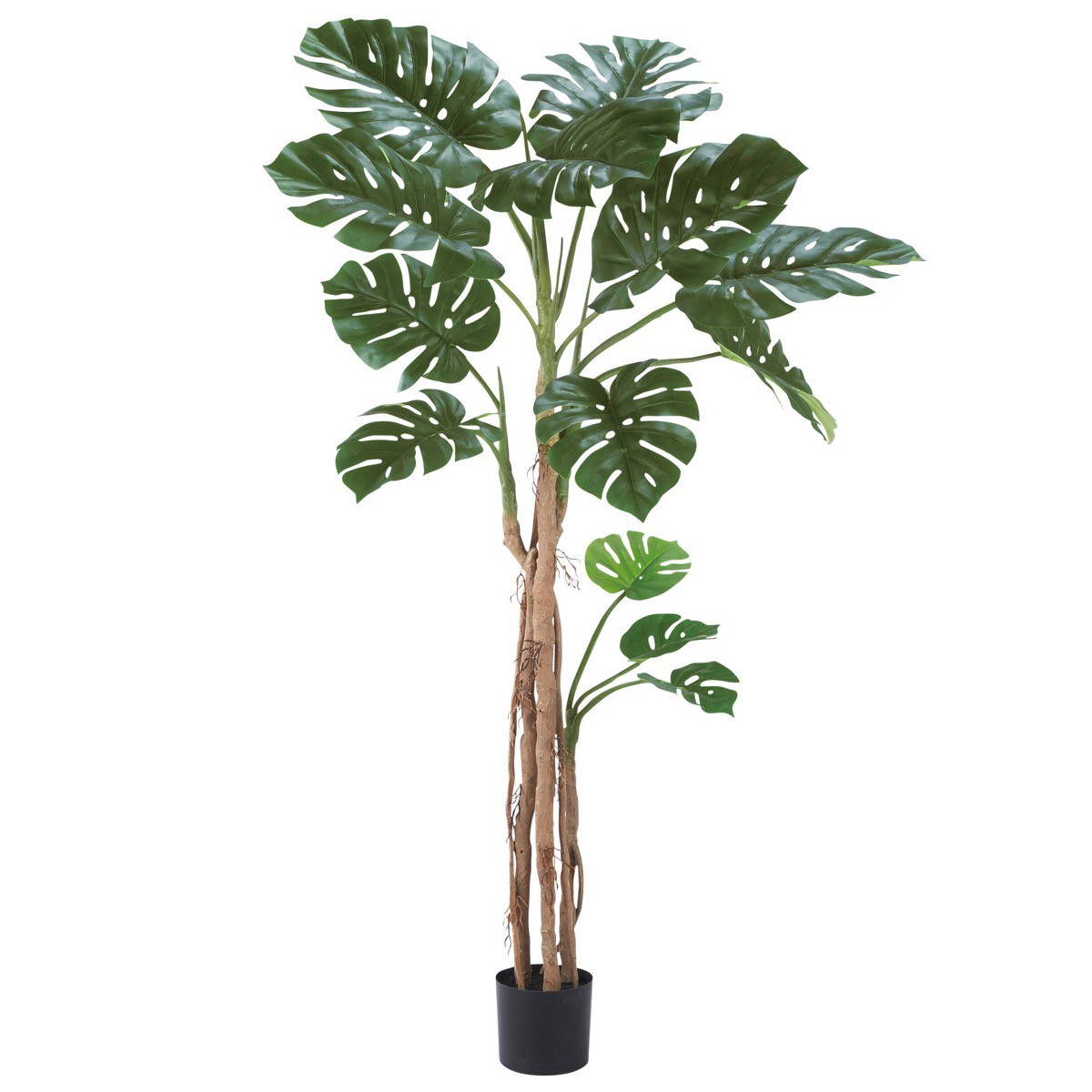 楽天市場 人工観葉植物 フェイクグリーン 観葉植物 造花 大型 モンスララ 大 0cm インテリア おしゃれ フェイク グリーン フェイク グリーンの神戸花物語