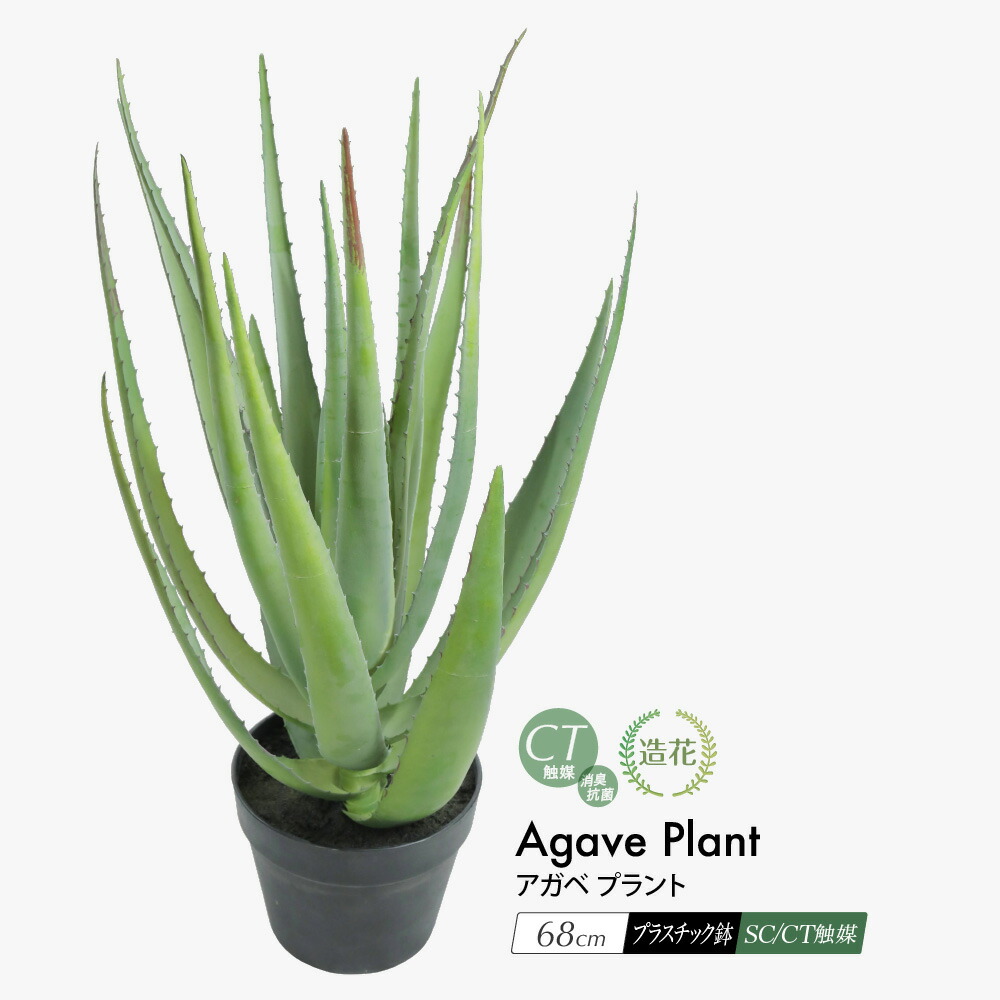 フェイクグリーン 観葉植物 フェイク 人工観葉植物 リアル アガベ プラント 68cm 鉢植 インテリア おしゃれ アロエ アロエベラ CT触媒 消臭 抗菌 [rcp]