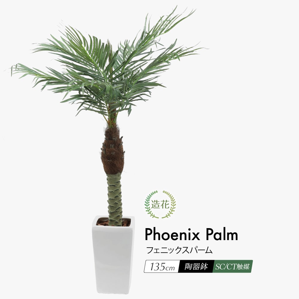 フェイクグリーン 観葉植物 フェイク リアル 光触媒 人工観葉植物 ヤシの木 フェニックスパーム 135cm 鉢植 おしゃれ 造花 CT触媒 本物そっくり 人工樹木 インテリア 南国 トロピカル お祝い 人気 M鉢 [rcp]