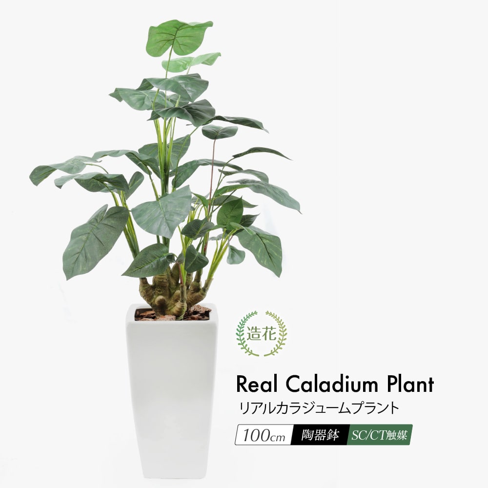 楽天市場】フェイクグリーン 観葉植物 フェイク 人工観葉植物
