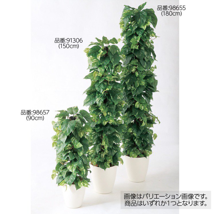 人気満点 フェイクグリーン 大型 ポトスヘゴ Dx 150cm 鉢植 観葉植物 造花 人工観葉植物 光触媒 Ct触媒 インテリア 格安人気 Concretecoringcompany Com