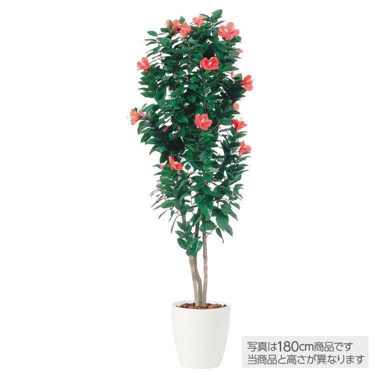 楽天ランキング1位 フェイクグリーン ハイビスカストリプル 150cm 鉢植 観葉植物 造花 大型 人工観葉植物 光触媒 Ct触媒 インテリア 受賞店舗 Www Lexusoman Com