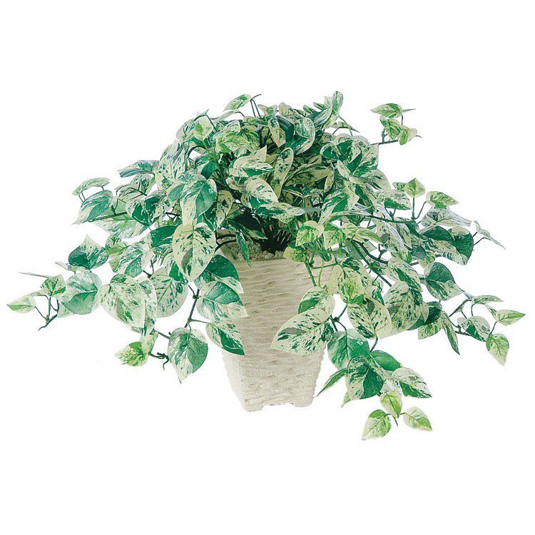 楽天市場 観葉植物 造花 ミニマーブルポトス 25cm Sc Ct 触媒 光触媒 インテリア お祝い フェイクグリーン 観葉植物 造花 カジュアルポット フェイクグリーンの神戸花物語