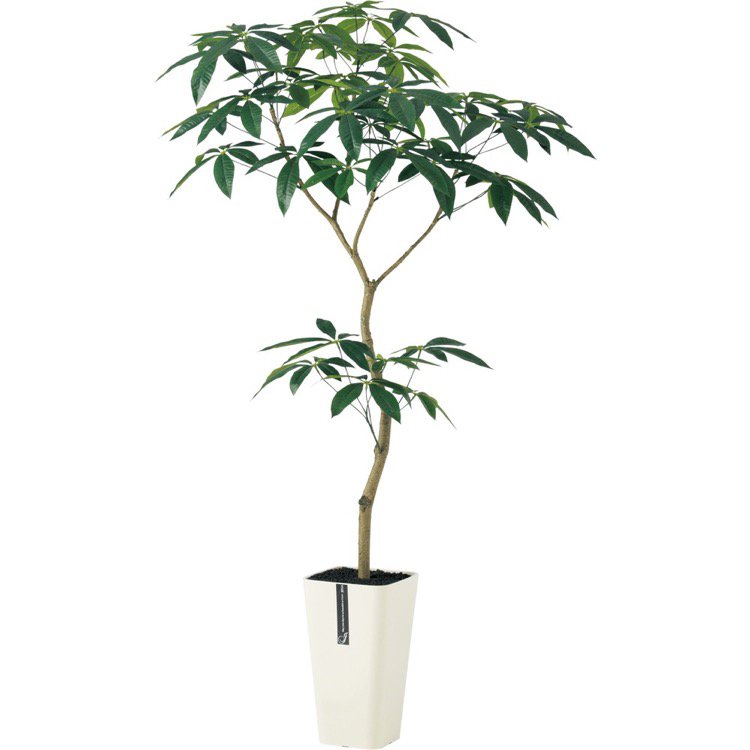 楽天市場 フェイクグリーン パキラ Fst 150cm 鉢植 人工観葉植物 大型 観葉植物 造花 光触媒 Ct触媒 インテリア フェイク グリーンの神戸花物語