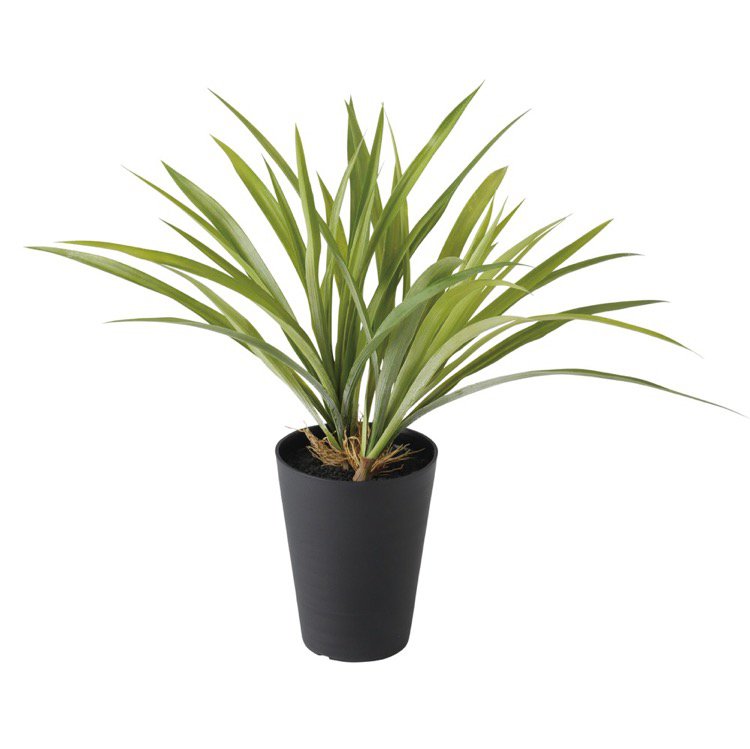 初回限定 楽天市場 フェイクグリーン アオオリヅルラン 40cm 人工観葉植物 観葉植物 造花 光触媒 Ct触媒 インテリア フェイクグリーンの神戸花物語 数量は多 Lexusoman Com