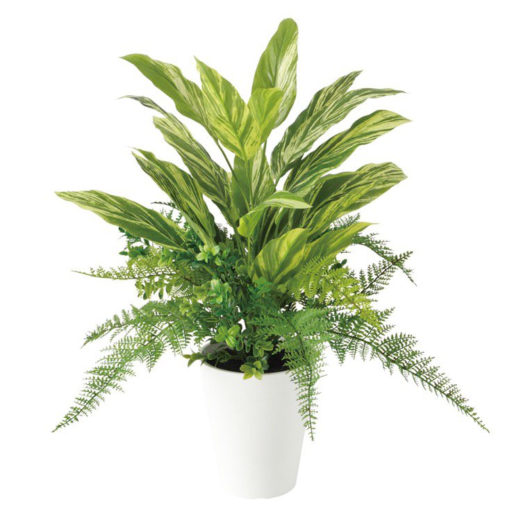 安いそれに目立つ 楽天市場 観葉植物 造花 コルディリネmixブッシュ コルジリネ 50cm フェイクグリーン 人工観葉植物 光触媒 Ct触媒 インテリア フェイクグリーンの神戸花物語 代引き手数料無料 Lexusoman Com