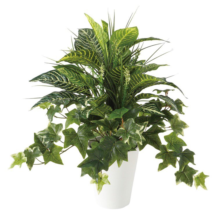 半額品 楽天市場 フェイクグリーン ゼブラmixブッシュ 50cm 人工観葉植物 観葉植物 造花 光触媒 Ct触媒 インテリア フェイクグリーンの神戸花物語 最安 Prestomaalaus Fi