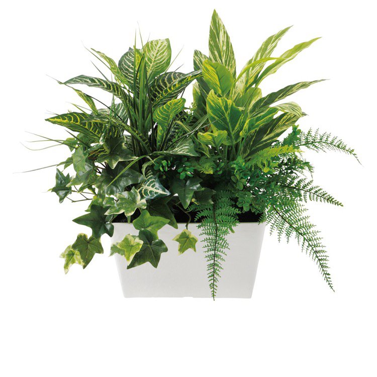 予約販売品 楽天市場 観葉植物 造花 Mix プランター Type B 50cm 人工観葉植物 フェイクグリーン 光触媒 Ct触媒 インテリア フェイクグリーンの神戸花物語 55 以上節約 Www Entraide Ma