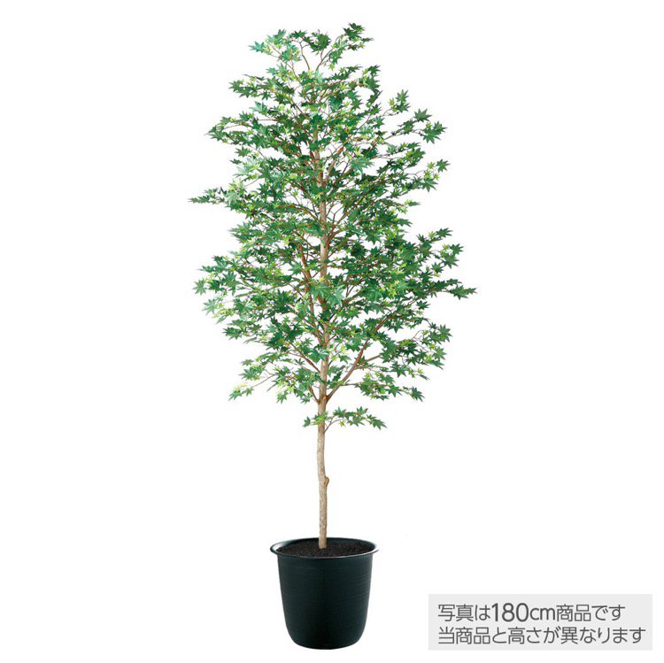 人工観葉植物 ヤマモミジ 緑 造花 インテリア 観葉植物 フェイクグリーン 200cm 鉢植