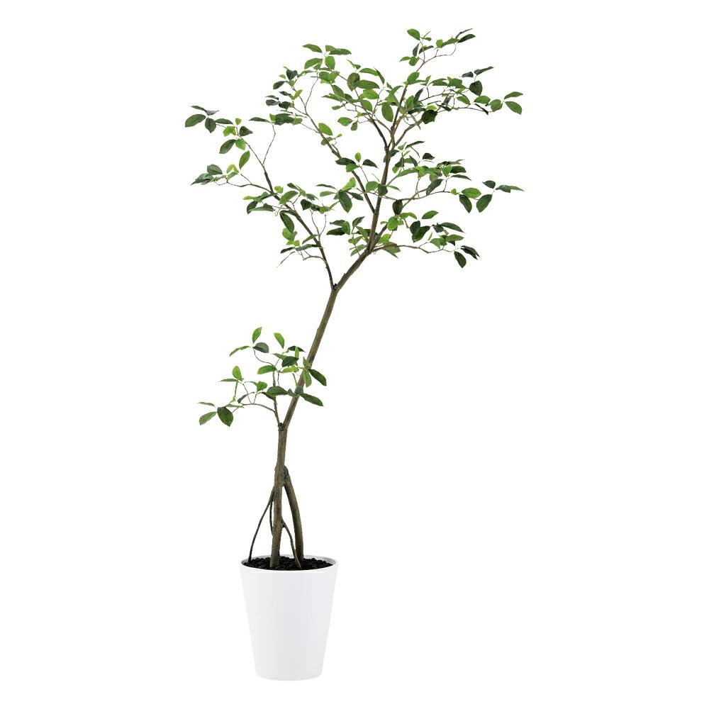 フェイクグリーン 観葉植物 フェイク 人工観葉植物 大型 光触媒 ガジュマル FST 高さ約180cm リアル 造花 鉢植 光触媒 CT触媒 インテリア ディスプレイ