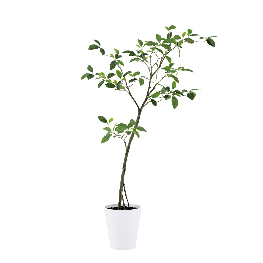 光触媒　人工観葉植物　ウォールグリーン　フェイクグリーン　エバーフレッシュ12w Amazon.co.jp: 光触媒 人工観葉植物 ウォールグリーン フェイク