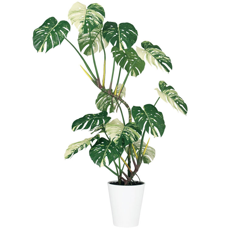 光触媒　人工観葉植物　フェイクグリーン　スプリットモンステラ1.35m 光触媒 人工観葉植物 フェイクグリーン スプリットモンステラ1.35m