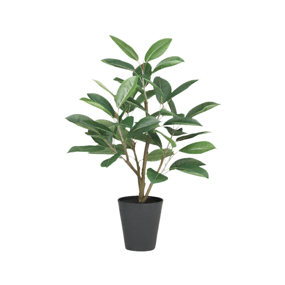 光触媒　人工観葉植物　ウォールグリーン　フェイクグリーン　エバーフレッシュ12w 楽天市場】フェイクグリーン 観葉植物 フェイク 人工観葉植物