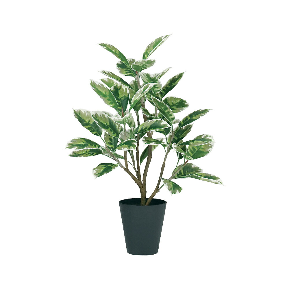 光触媒　人工観葉植物　ウォールグリーン　フェイクグリーン　エバーフレッシュ12w Amazon.co.jp: 光触媒 人工観葉植物 ウォールグリーン フェイク