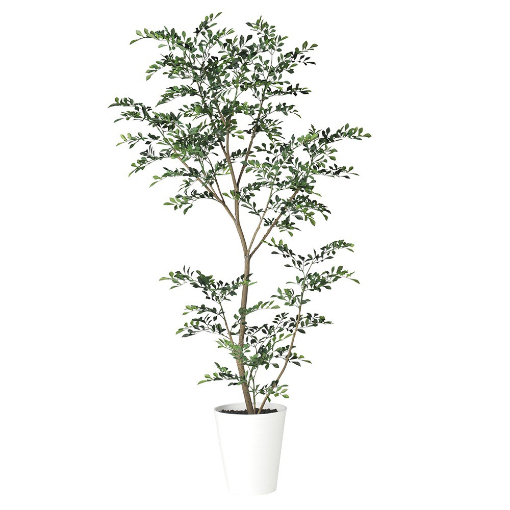 再再販 人工観葉植物 フェイクグリーン 観葉植物 造花 光触媒 大型 トネリコ Fst 180cm 鉢植 フェイク グリーン インテリア おしゃれ Ct触媒 お祝い 公式 Secretoftheislands Com