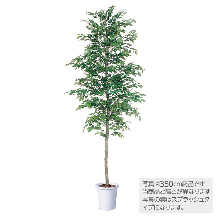 楽天市場 観葉植物 造花 大型 ベンジャミナスプラッシュセパレート ベンジャミン 400cm 鉢植 人工観葉植物 フェイクグリーン インテリア フェイクグリーンの神戸花物語