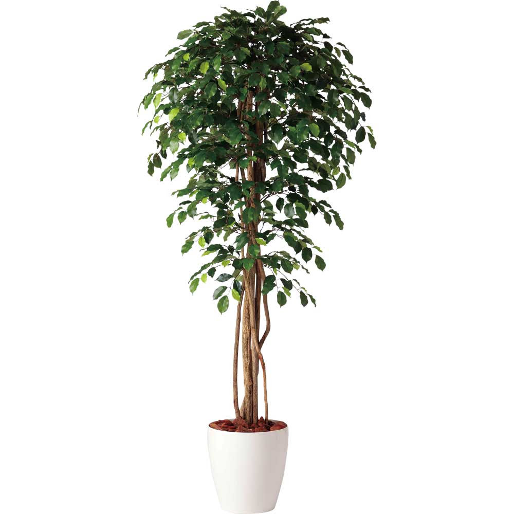 フェイクグリーン 観葉植物 フェイク 人工観葉植物 大型 光触媒 造花 大型 フィッカスベンジャミナリアナ (ベンジャミン) 180cm 鉢植 人工光触媒 CT触媒 インテリア