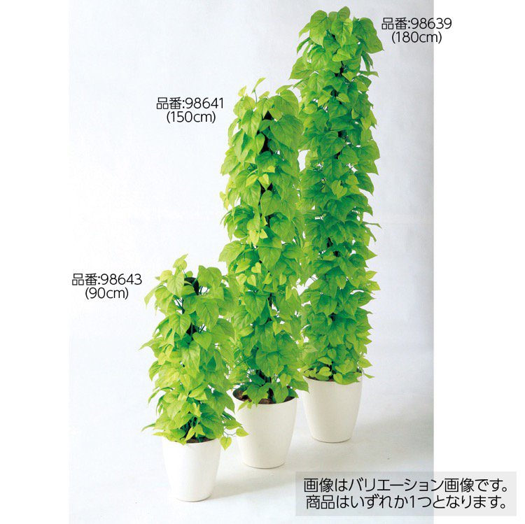 予約販売品 楽天市場 観葉植物 造花 大型 ライムポトスヘゴ 180cm 鉢植 フェイクグリーン 人工観葉植物 光触媒 Ct触媒 インテリア フェイクグリーンの神戸花物語 史上最も激安 Lexusoman Com