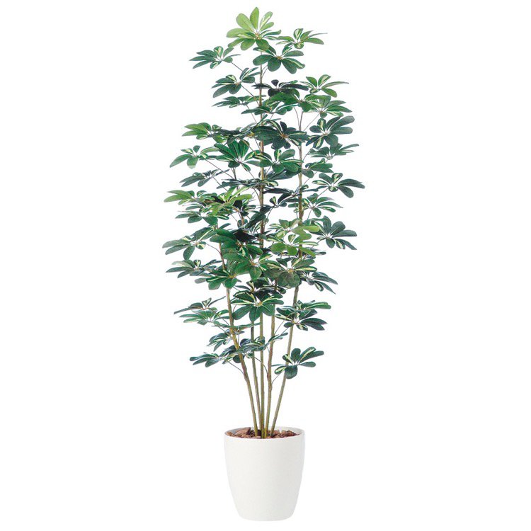 オフィス ホテル ルーム 消臭 人工観葉植物 抗菌 鉢植 おすすめ 人工観葉植物 おしゃれ 癒しのグリーンでいつでも空気すっきり フェイクグリーン 大型 シェフレラ カポック 180cm 鉢植 観葉植物 造花 人工観葉植物 光触媒 Ct触媒 インテリア フェイクグリーンの