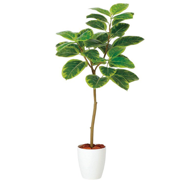 楽天市場】フェイクグリーン 観葉植物 フェイク 人工観葉植物