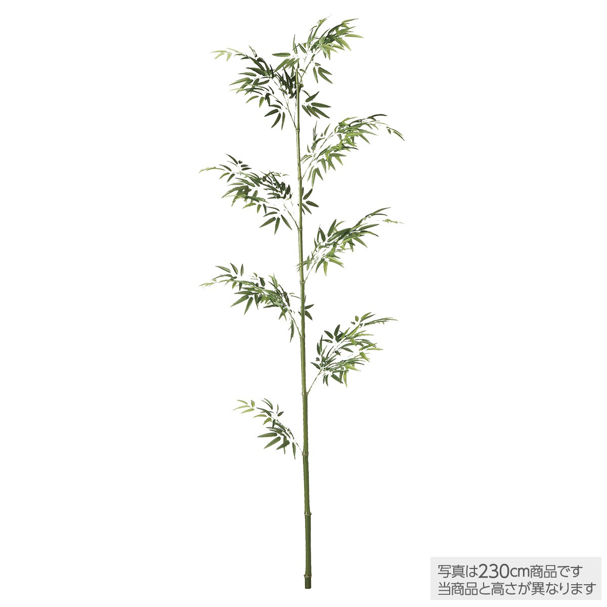 【メーカー直送】 花 大型 天然染竹 青竹1本 立 バンブー 230cm フェイク グリーン 人工 観葉植物 インテリア オフィス 保育園 小学校 施設 店舗 【代引不可】|フェイクグリーンの神戸花物語