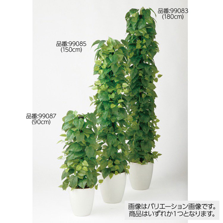 安い購入 楽天市場 人工観葉植物 ライムポトスヘゴ Green 150cm 鉢植 観葉植物 造花 大型 フェイクグリーン 光触媒 Ct触媒 インテリア フェイクグリーンの神戸花物語 日本最大級 Lexusoman Com