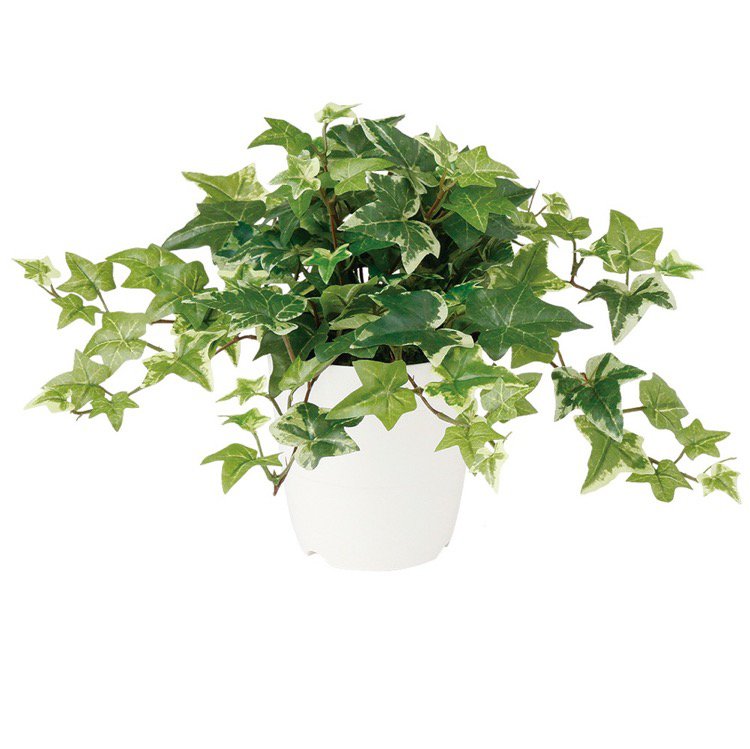 セージアイビー 30cm フェイクグリーン 人工観葉植物 造花 光触媒 CT触媒 消臭 抗菌 インテリア カジュアルポット 花言葉 永遠の愛 友情