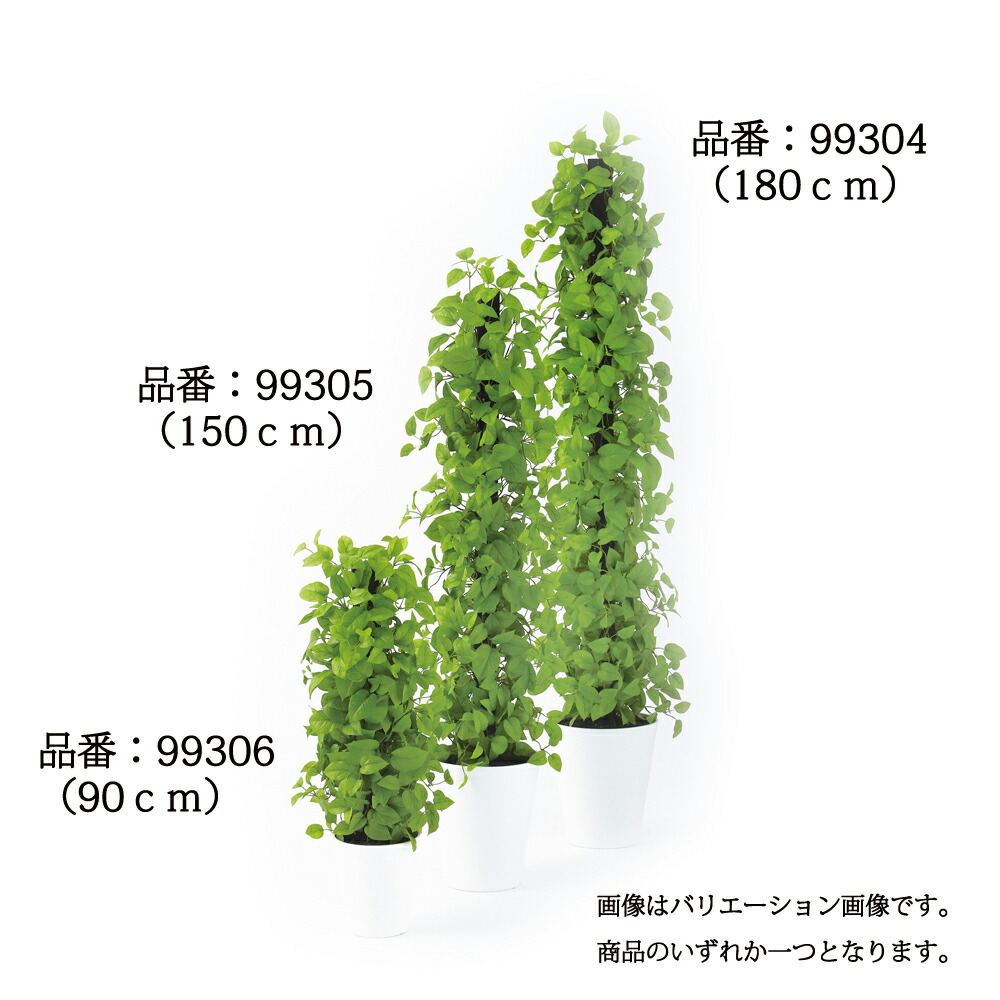 フェイクグリーン 観葉植物 フェイク 人工観葉植物 大型 光触媒 人工ライムポトスヘゴ 高さ約150cm リアル 造花 鉢植 パーテーション 光触媒 CT触媒 インテリア ディスプレイ|フェイクグリーンの神戸花物語