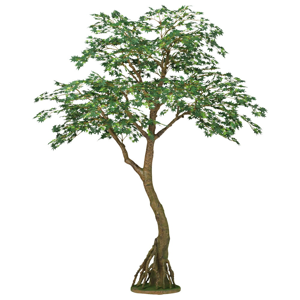 楽天市場】【メーカー直送】フェイクグリーン 人工観葉植物 ヤマモミジ