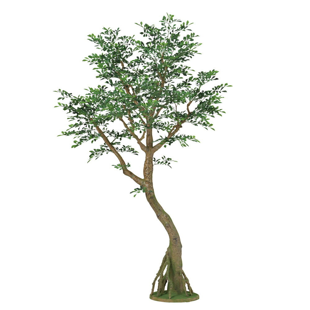 【メーカー直送】フェイクグリーン 人工観葉植物 トネリコ コアッド 高さ約200cm 本体のみ リアル 組立式 造花 鉢植 光触媒 CT触媒 インテリア ディスプレイ【代引不可】