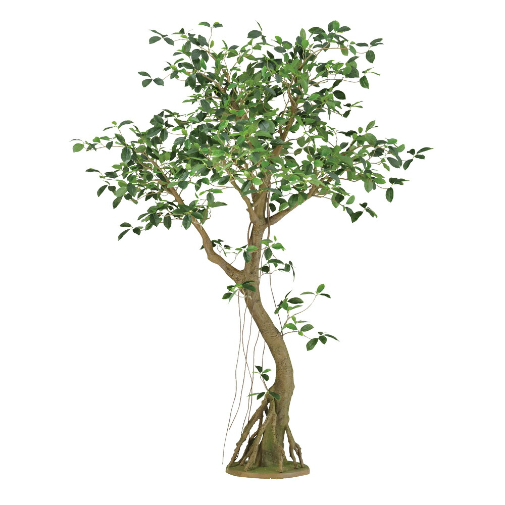 楽天市場】【メーカー直送】フェイクグリーン 人工観葉植物