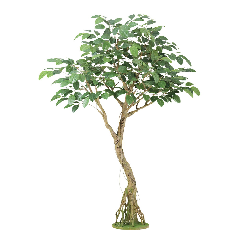 【メーカー直送】 フェイクグリーン 人工観葉植物 ベンガルボダイジュ コアッド 高さ約200cm 本体のみ リアル 組立式 造花 鉢植 光触媒 CT触媒 インテリア ディスプレイ 【代引不可】