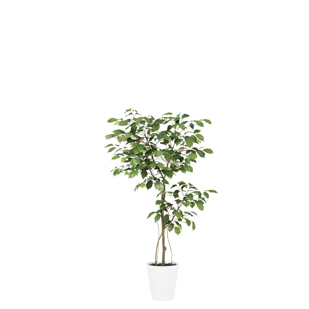 楽天市場】フェイクグリーン 観葉植物 フェイク 人工観葉植物