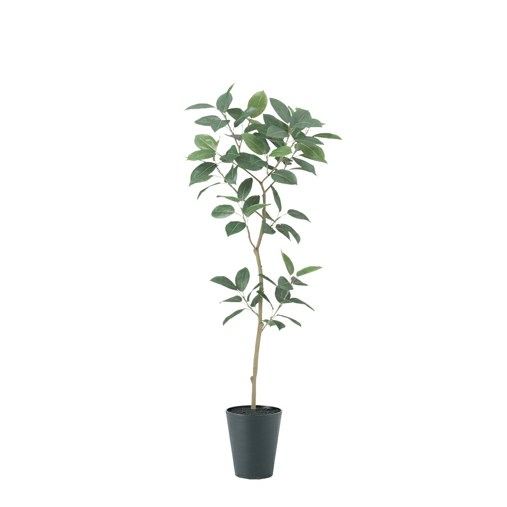 フェイクグリーン 観葉植物 フェイク 人工観葉植物 大型 光触媒 人工デコラゴム FST 高さ約180cm リアル 造花 鉢植 光触媒 CT触媒 インテリア ディスプレイ