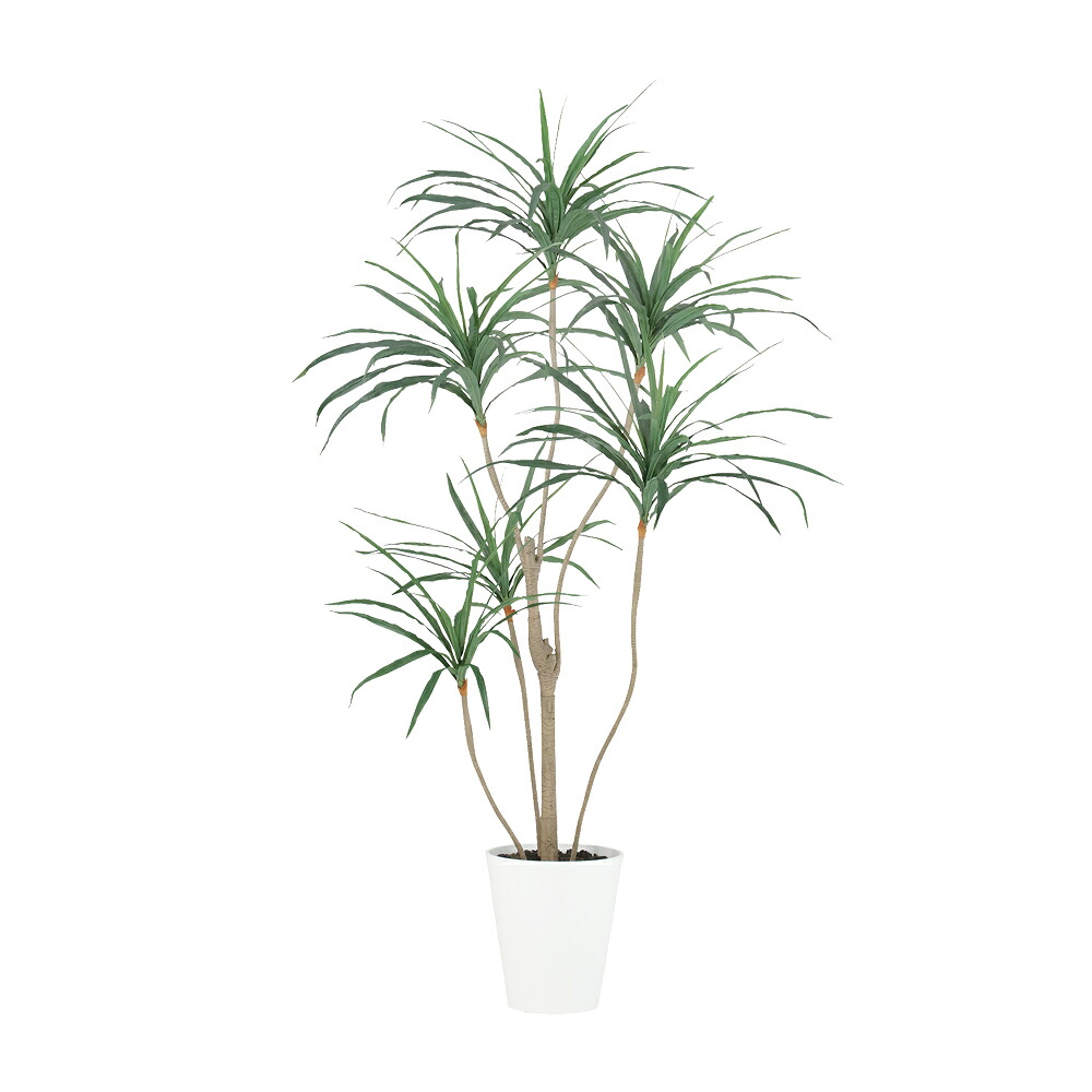 フェイクグリーン 観葉植物 フェイク 人工観葉植物 大型 光触媒 人工コンシンネ 高さ約180cm リアル 造花 鉢植 光触媒 CT触媒 インテリア ディスプレイ|フェイクグリーンの神戸花物語